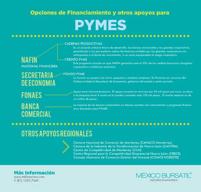 Financiamiento y Apoyos para PyMes Financiamiento y Apoyos para PyMes