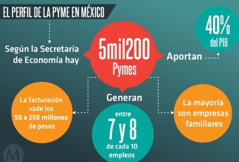 Perfil de la Pyme en Mexico Perfil de la Pyme en Mexico