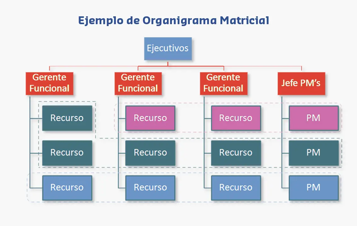 Organigrama Matricial