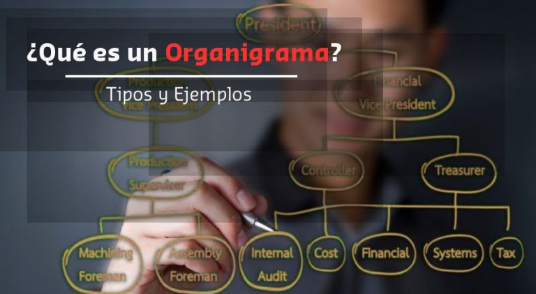 Lee más sobre el artículo ¿Qué es un Organigrama y Cuantos tipos hay?