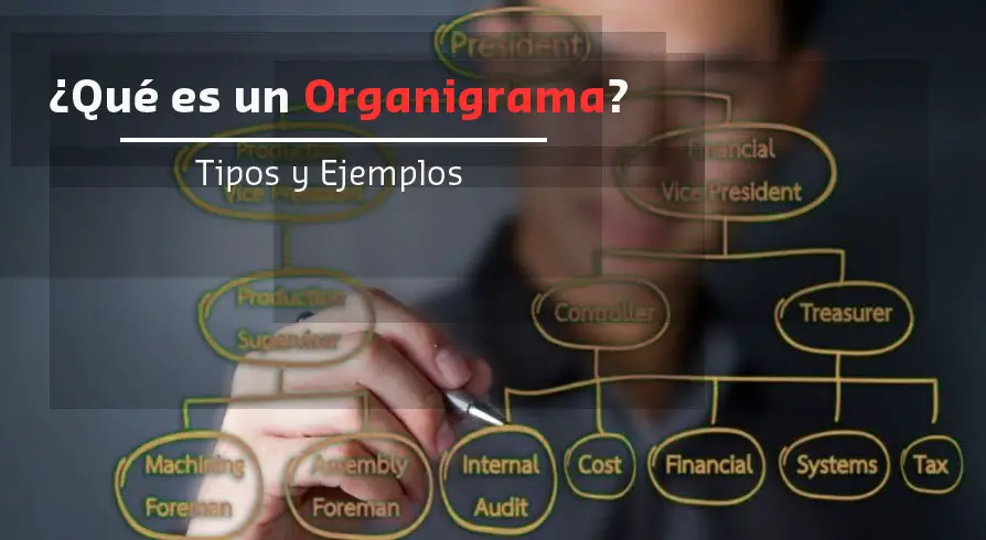 Lee más sobre el artículo ¿Qué es un Organigrama y Cuantos tipos hay?