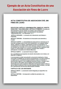 Ejemplo de un Acta Constitutiva de una Asociación sin fines de Lucro