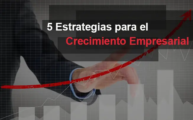 Lee más sobre el artículo 5 Estrategias para el Crecimiento Empresarial
