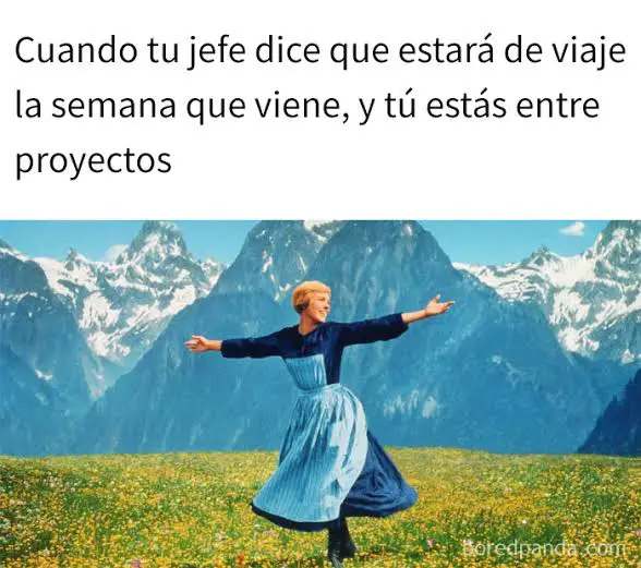 Memes Sobre Jefes y la vida laboral.