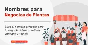 Lee más sobre el artículo Nombres para Negocios de Plantas