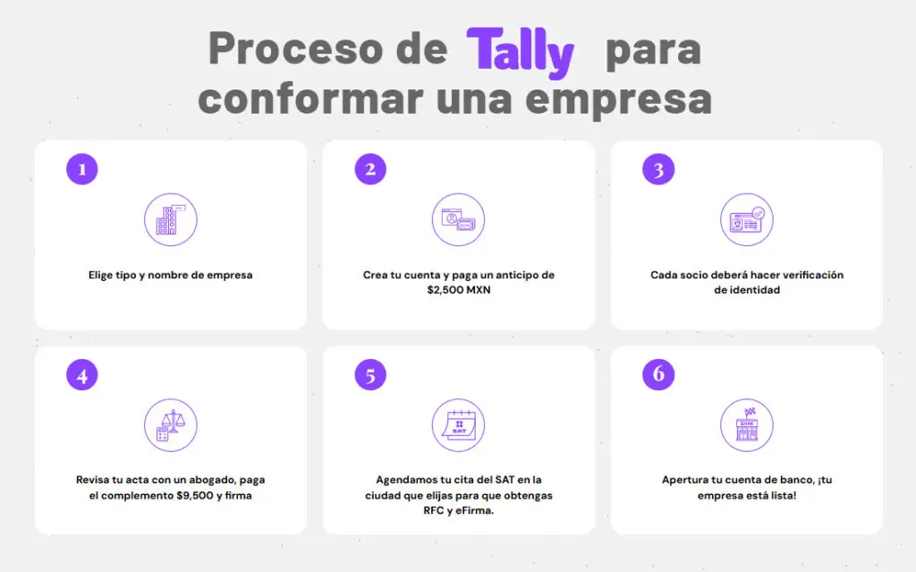 Como funciona Tally