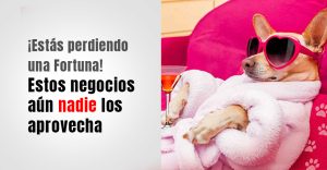 Lee más sobre el artículo  15 Ideas de Negocios que Nadie ha Explotado Todavía